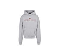 AMERICAN COLLEGE USA Sweat Shirt Sweater à Capuche Enfants Garçon Fille, Sudadera con Capucha Unisex Niños, Gris,