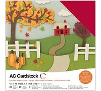 AMERICAN CRAFTS Cardstock Variety Pack Autumn Cartulinas, Papel, Multicolor, 30.73 x 30.48 x 2.0299999999999998 cm