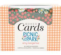 American Crafts Tarjetas/ENVS A2 40/Box PRK, Amy Tan Picnic En El Parque, talla única