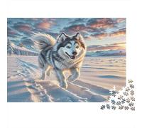 American Eskimo Dog Rompecabezas Premium de Cartón Husky Corriendo en Tierra Nevada al Atardecer, Regalo Navideño Divertido 52x38cm/1000 Piezas