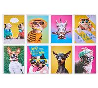 American Greetings Divertidas tarjetas en blanco con sobres para todas las ocasiones, perros y gatos (48 unidades)