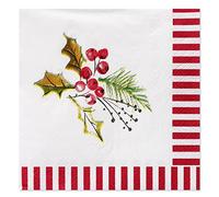 American Greetings Suministros para fiestas de Navidad, diseños de Kathy Davis, servilletas para bebidas (50 unidades)