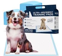 American Kennel Club Almohadillas de Entrenamiento perfumadas para Cachorros con Gel Ultra Absorbente de Secado rápido, 22 x 22 Pulgadas, Almohadillas para orina para Perros, Aroma Fresco, Paquete de
