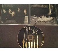 American Motherload - Come to Life