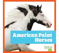 American Paint Horses (Meet the Horses)