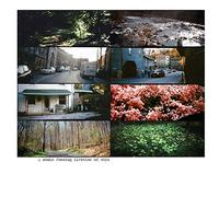 American Pleasure Cl - A Whole Fucking Lifetime of This