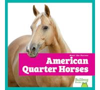 American Quarter Horses (Meet the Horses)