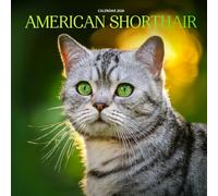 American Shorthair Cat 2026 Calendar: Charming Companions and Classic Beauty