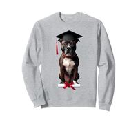 American Staffordshire Terrier - Gorra de graduación para perro Sudadera