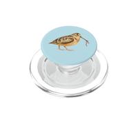 American Woodcock Bird Obtiene una Lombriz de Tierra Lindo Birding PopSockets PopGrip para MagSafe