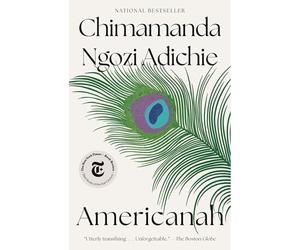 Americanah: A novel