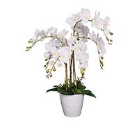 AMERIQUE Planta Artificial de orquídea Phalaenopsis única y Hermosa, Flores de Seda con Hojas de Tacto Real, con Maceta de vivero, 2.5 pies, Color Blanco
