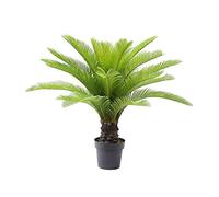 AMERIQUE Preciosa Planta Artificial Cycas Revoluta Sago Palmera con Maceta para vivero, tecnología Feel Real, 28 Hojas largas y Gigantes, Verde