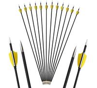 AMEYXGS 6/12 Piezas Tiro con Arco Flechas de Carbono 29.5" Flechas de Práctica de Tiro Spine 1000 Flechas de Caza con 2" Plumas de Pavo Real para Arco Compuesto y Arco Recurvo (6pcs)