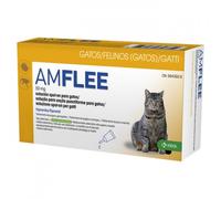 Amflee Spot-On - Pipetas para gato - Cantidad: 3 pipetas