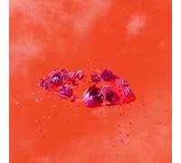 Ami Dang The Living World's Demands (Vinyl) 12" Album (Importación USA)