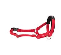 Ami Play algodón Perro Halter Cuello Durable Suave, XL, Rojo