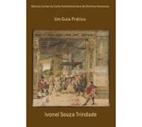 Amicus Curiae Na Corte Interamericana De Direitos Humanos (ebook)