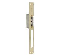Amig - Abrepuertas eléctrico de embutir para control de acceso - Compatible con resbalón europeo 13 mm - Frente 250 x 25 mm - Acero latonado barnizado - Dorado - 8-12 V AC/DC - Mod. 20 con inhibidor
