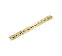 Amig - Bisagra de Piano - 600 x 32 x 0,7 mm - Cantos Cuadrados - Ideal para Sujetar con Firmeza Puertas de Armarios y Tapas de Cajas o Baúles - Acero Latonado Barnizado