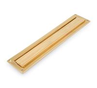 Amig - Bocacartas buzón Dorado Mod. 2 - Solapa para Paredes o Puertas - Recogecartas con Tapa de Latón - 342 x 73 mm - Medida Boca: 312 x 43 mm - Color Dorado Pulido - Ranura para Cartas