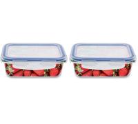 Amig - Recipiente hermético para alimentos - Apto para Microondas, Horno y Congelador - Ideal para Alimentos Sólidos y Líquidos - Anti-Olores - Fácil de Limpiar - Capacidad: 840 ml (Paquete de 2)