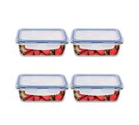 Amig - Set de 4 Recipientes herméticos para alimentos - Capacidad: 840 ml - 18,3 x 5,9 cm - Aptos para Microondas, Horno y Congelador - Para Alimentos Sólidos y Líquidos - Anti-Olores