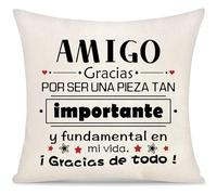 Amigo Amistad Gracias por ser Una Pieza tan Importante Funda de Cojín Regalos para Hombres Chicos del Mejores Amigos Inspirador Regalo de Graduación Funda de Alomohada Cumpleaños Navidad (amigo-b)