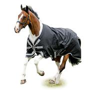 Amigo Bravo 12 XL Org to Medium 81 Negro/Gris