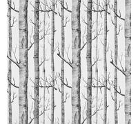 AMIGO Papel pintado Autoadhesivo Blanco y Negro con Motivos de Abedules Vinilo Desenfundable para Paredes Muebles Inquilinos Sin Residuos Impermeable 44.5x500cm