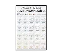 Amino Acids Reference Poster Guide to 20 Standard Amino Acids for MCAT DAT Prep Medical Students Canvas Wall Art(Unframed,12X18inch(30X45cm))