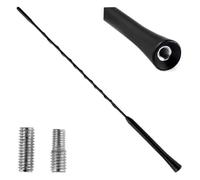 AMiO 01129 Antena