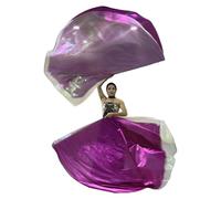 AMISENK 2 banderas de adoración de danza de alabanza con barra escalable semicírculo ala de adoración para banderas