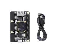 AMISENK Placa de desarrollo 25K GW5A RISCV PMOD SDRAM Docking 64Mbit SPI intermitente individual para placa de desarrollo educativo