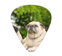Amistad Pug Bokeh Perros Mascotas Amigos Pug,12 púas de guitarra, 3 grosores diferentes para guitarra acústica, bajo y ukelele