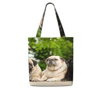 Amistad Pug Bokeh Perros Mascotas Amigos Pug，Bolsas de supermercado reutilizables, bolsas de compras, bolsas de lona de gran capacidad, bolso de hombro