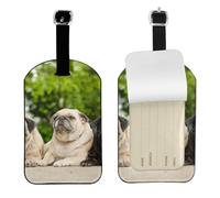 Amistad Pug Bokeh Perros Mascotas Amigos Pug,Etiquetas de equipaje de cuero sintético con nombre, etiquetas de viaje duraderas, 2 unidades