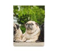 Amistad Pug Bokeh Perros Mascotas Amigos Pug,Funda de Cuero PU para portátil, Funda para portátil, Funda para portátil, maletín para Tableta