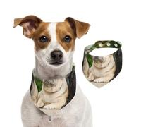 Amistad Pug Bokeh Perros Mascotas Amigos Pug,Pañuelos de algodón para Perros, Bufandas Ajustables para Mascotas,S