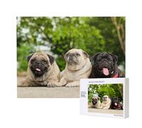 Amistad Pug Bokeh Perros Mascotas Amigos Pug,Rompecabezas de Madera de 500 Piezas, Juego Familiar, Rompecabezas para Adultos, Adolescentes, decoración del hogar