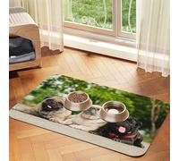 Amistad Pug Bokeh Perros Mascotas Amigos Pug,Tapete para Comida de Mascotas, manteles Individuales de Cuero sintético para Gatos y Perros,40x60cm