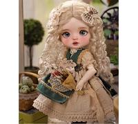 AMITD 1/6 Bjd Doll Ball Joint Doll Doll Doll Resin Handmade Makeup Collectable Action Figure The Best Gift Set (D)
