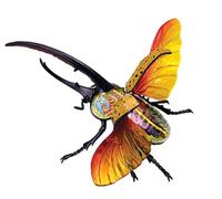 AMITD 4D Beetle Anatomy Model, 33 piezas desmontables, para Biology & Insect Study