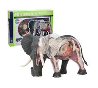 AMITD 4D Elephant Anatomy Model, 27 piezas extraíbles, esqueleto, para enseñanza