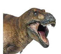 AMITD Dinosaur Museums Series (New Wilson The Tyrannosaurus rex 1:35 Scientific Art Models)
