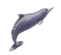 AMITD Living Animal:17 Xibao The Chinese White Dolphin