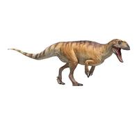 AMITD Modelos de dinosaurios prehistóricos (77 The Yangchuanosaurus shangyouensis)