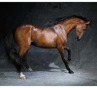 AMITD Mr.Z Animal Model 1/6 Akhal-Teke Horse Statue Realistic Educational Ahalteke Equidae Animal Model Resin Toys Collector Home Decoration Birthday Gift for Adult (Mr.Z048-3)