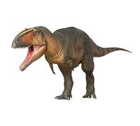 AMITD Serie de Museos de Dinosaurios: 17Lucas The Giganotosaurus 1:35 Scietific Art Model