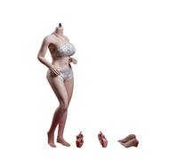 AMITD TBLeague PLLB2020-S38A 1/6 Escala Phicen - Cuerpo sin costuras para mujer de 30,5 cm